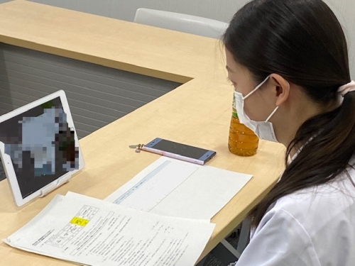 島根県内の高校生と研修医が交流しました。